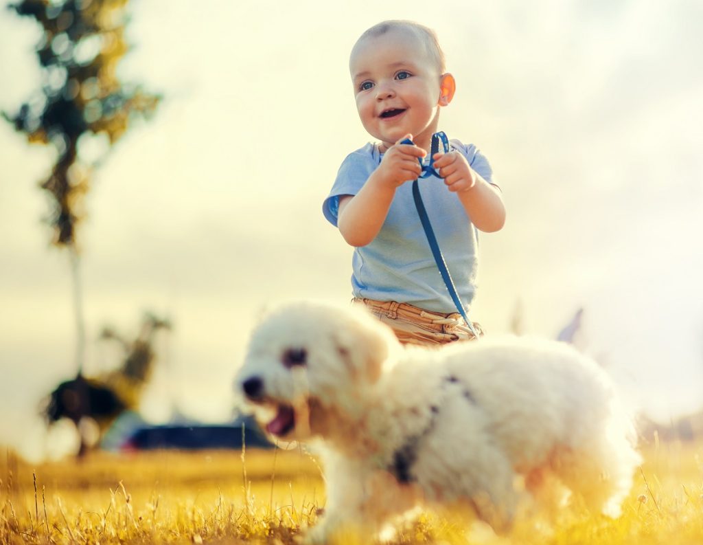 Little boy and his puppy in the park,having fun.